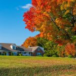 Comprehensive Lawn Care Eagan Services from Mowing to Fertilization