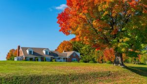 lawn care eagan