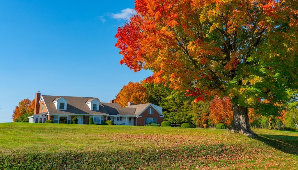 lawn care eagan