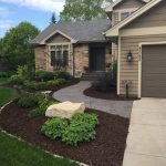 Expert Lawn Care Treatments That Actually Work in MN
