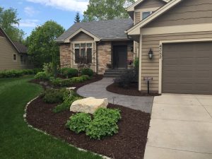 lawn care treatments